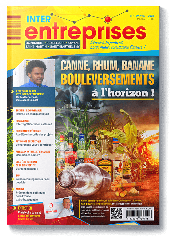 Magazine Interentreprises Avril 2023 - N°189 - Numérique