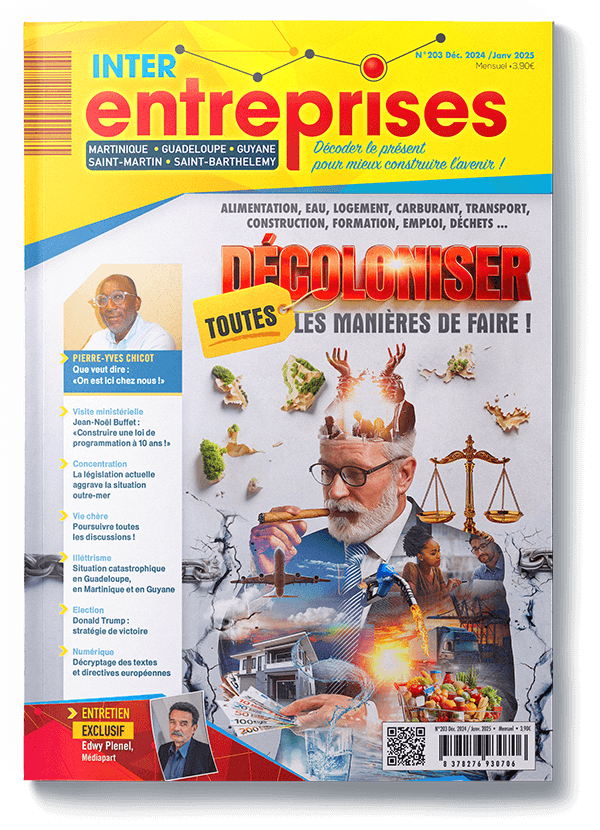 Magazine Interentreprises déc. 2024 - janv. 2025 - N°203 - Numérique